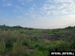 The edges of Pskov airfield