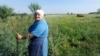 Tetyana, 62, in her field with one of her surviving cows.