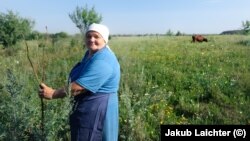 Tetyana, 62, in her field with one of her surviving cows.