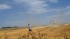 A farmer walks in a field during harvest near the town of Shabla, Bulgaria, in July.