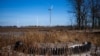 The base of a turbine is installed but overgrown at the wind farm in Ukraine's Mykolayiv region. 