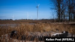 The base of a turbine is installed but overgrown at the wind farm in Ukraine's Mykolayiv region. 