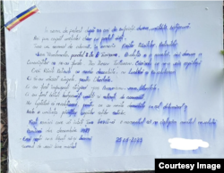 Ileana Negru's suicide note