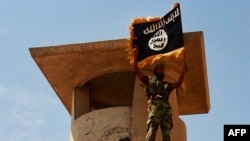 A militant of the Islamic State of Iraq and the Levant (ISIL) poses with a trademark Islamist flag after the group allegedly seized an Iraqi Army checkpoint in the northern province of Salah al-Din on June 11.