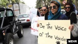 Animal rights activists in Shiraz protesting the purported dog culling.