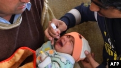 A polio-eradication worker gives vaccine drops to a young girl in Peshawar. (file photo)