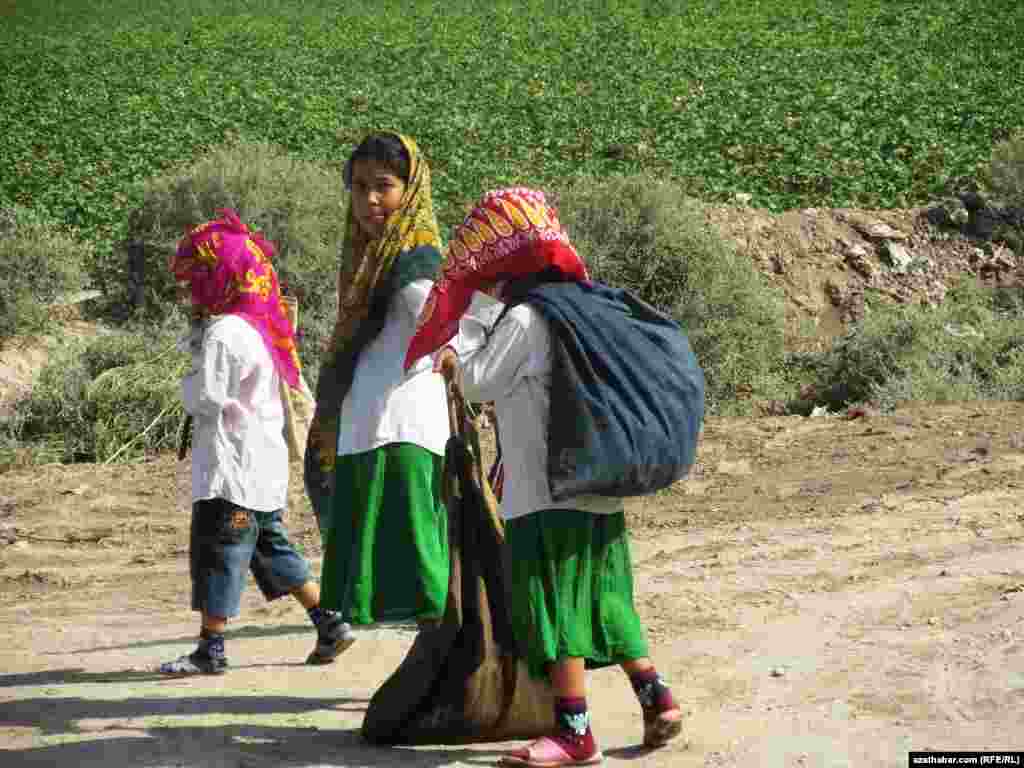 Young children carry bags of harvested cotton.