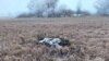 Moldova's Internal Affairs Ministry said in a statement that an on-site investigation turned up about 80 kilograms of explosives in the remains of the rocket, discovered January 14 near Larga, in the Briceni district. 