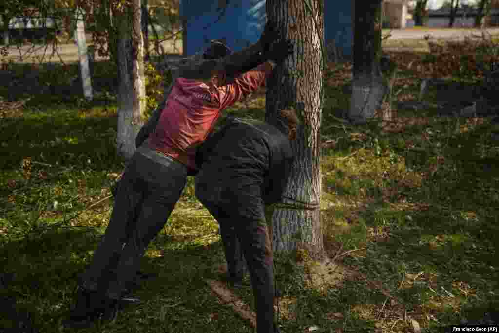 Local men cut down a tree for firewood in Kurylivka. To add to the misery, many are living in homes that have been wrecked by Russian strikes, with leaky or damaged roofs and blown-out windows that are unable to provide protection against cold or wet weather. &nbsp;