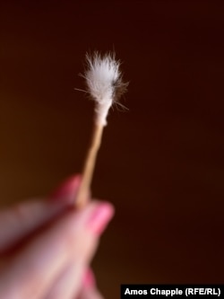 A brush made from cat fur