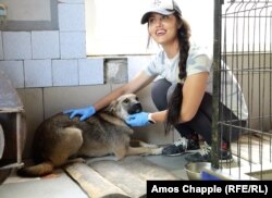 Alina Metyolkina fled Ukraine’s Luhansk region and now volunteers at a dog shelter near Dnipro.