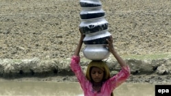 A Pakistani girl carries pots filled with drinking water as she heads to her home in the Pakistani province of Sindh in July.