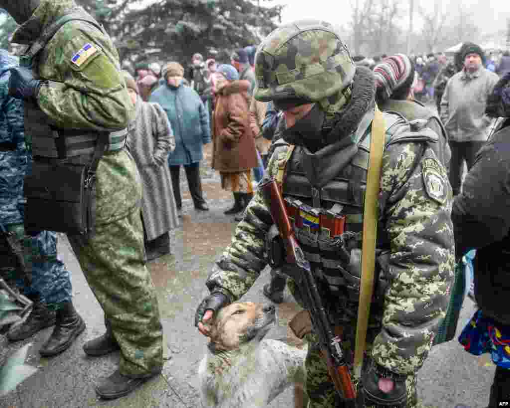 A Ukrainian serviceman pets a stray dog as convoys of buses leaves Ukraine's frontline town of Debaltseve to take besieged civilians to safety after both sides agreed a brief humanitarian truce.