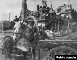 A carriage horse in Sergiyev Posad, north of Moscow