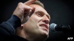 Aleksei Navalny (file photo)