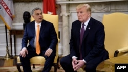 Hungarian Prime Minister Viktor Orban (left) and U.S. President Donald Trump meet in the Oval Office on May 13.