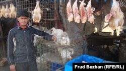 Farhad, a butcher's assistant in Kabul