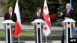 Georgian Prime Minister Bidzina Ivanishvili is flanked at an October 23 press conference in Tbilisi by Polish Foreign Minister Radoslav Sikorski (left) and Swedish Foreign Minister Carl Bildt.