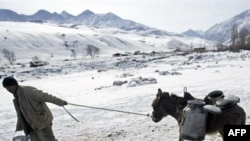 A man leads a donkey laden with cannisters to collect water at the Ala-Archa River in Kyrgystan