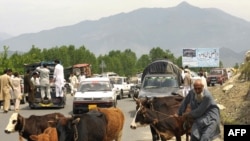 Locals flee the fighting between the military and Taliban in the Lower Dir district.