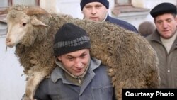 A man carries a sheep for slaughter for Eid al-Adha in Kazan.