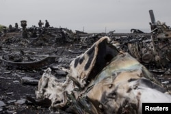 The wreckage of MH17 near the village of Hrabove in Ukraine's eastern Donetsk region.