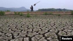 A Chinese fisherman walks beside the partially dried-up Guihu Lake in Anhui Province.