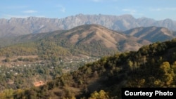 The forests of Kyrgyzstan, under threat like others in Central Asia. (Photo: Chris Loades, FFI)