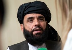 Taliban spokesman Suhail Shaheen (file [photo)