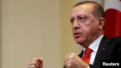 Turkish President Recep Tayyip Erdogan has launched a widening crackdown on dissent since a failed coup against him in July.