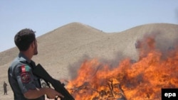 An Afghan policeman stands guard as authorities burn huge quantity of narcoticsin Herat in 2008.