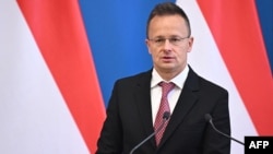 Hungarian Foreign Minister Peter Szijjarto (file photo)