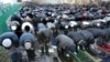 New Mosque Project Highlights Moscow's Ethnic Tensions