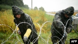 Hungarian soldiers installing a barb-wire fence on the Slovenian border.