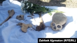 A recent find of skeletal remains found along the path taken by Kyrgyz trying to escape Russian forces on the way to China.