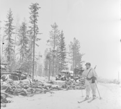 Piles of Soviet corpses lay in the snow after a Finnish attack.