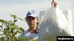 A girl picks cotton in Uzbekistan's Tashkent Province in September 2010. The ILO monitors will be looking for signs of forced or child labor.