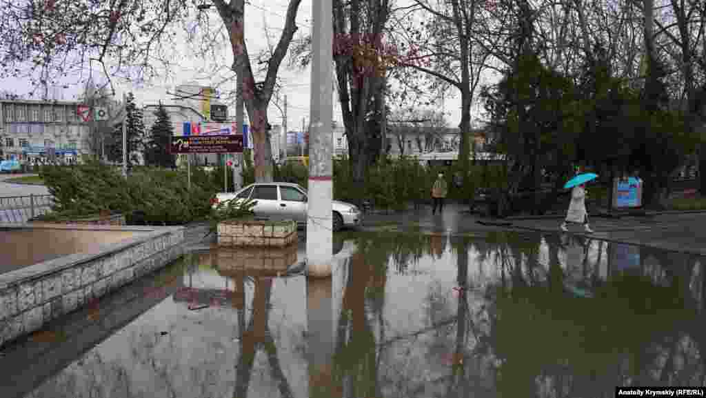 В тоже самое время торговля соснами из Пензенской области на площади Куйбышева идет довольно вяло