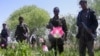 Afghanistan: Poppy Eradication Failing And Taliban Benefitting