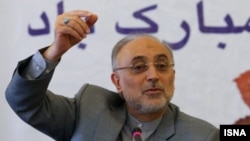 Ali Akbar Salehi