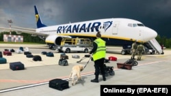 Security officials with a sniffer dog check the luggage of passengers in front of the Ryanair flight carrying opposition figure Raman Pratasevich in Minsk on May 23, 2021.