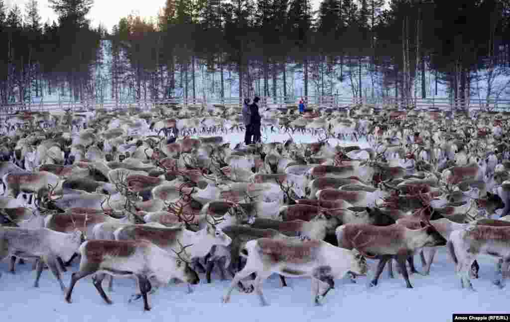 For the Sami people around the central Norwegian village of Snasa, the results were devastating.