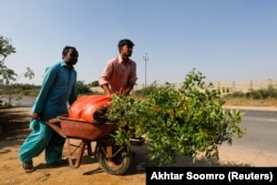 Pakistani laborers plant trees along a road shortly before the coronavirus pandemic struck.