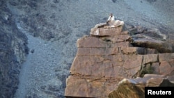 A man sits on top of a rock on the outskirts of Gilgit. (file photo)