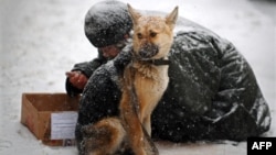 A homeless man begs with his dog during a snowfall in central Moscow. (file photo)