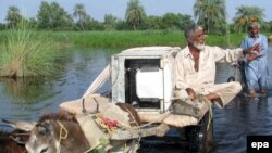 Flood victims flee flooded areas of Pharpur near Dera Ismail Khan, a town in the Khyber-Pakhtunkhwa province of Pakistan on August 10.