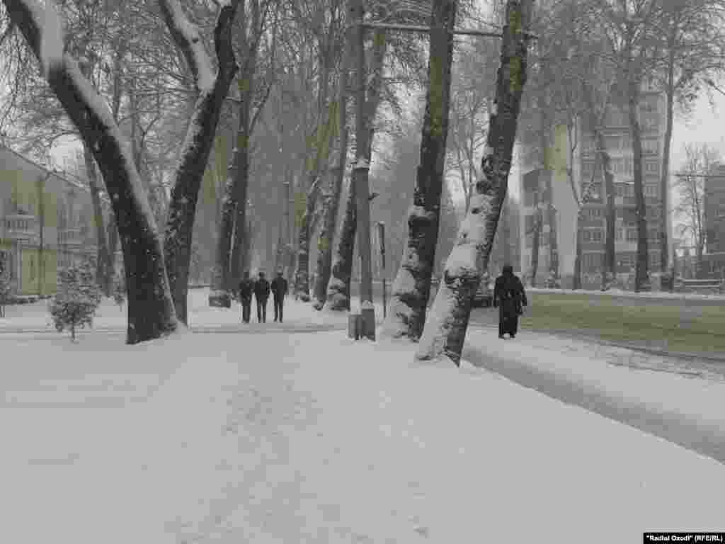 Snow coats the sidewalks, roads, and trees in Tajikistan&#39;s capital.