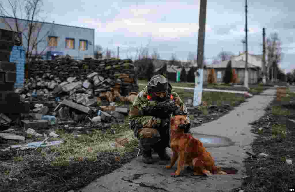 A Ukrainian soldier plays with a dog in the eastern city of Debaltseve in December 2014.