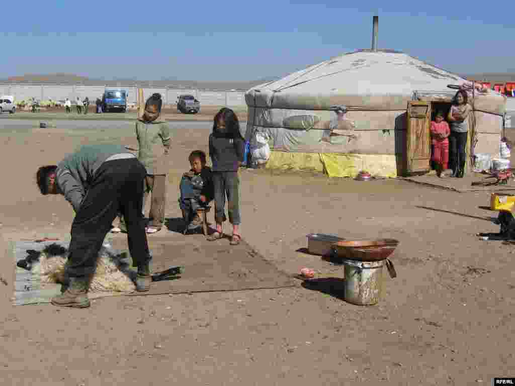 A sheep is killed and butchered on the outskirts of Ulan Bator. - A single sheep can feed a family of four for a month in Mongolia. Residents of Ulan Bator will drive to the city outskirts, where streetside vendors offer one-stop shopping for people looking to buy and butcher a sheep. Mongolians have a deep respect for animals, and typically kill sheep not by slitting their throats but by making a small incision in their chest and gently squeezing the pulmonary veins until the sheep collapses, usually without a struggle.