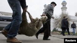 Thousands of sheep have fallen ill and died in Uzbekistan and Kyrgyzstan in recent weeks. (file photo)